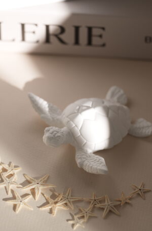 Figura de yeso "Tortuga"