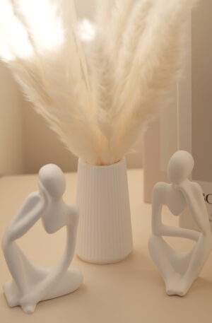 Colección de interior